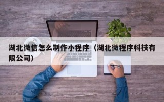 葫芦岛湖北微信怎么制作小程序（湖北微程序科技有限公司）